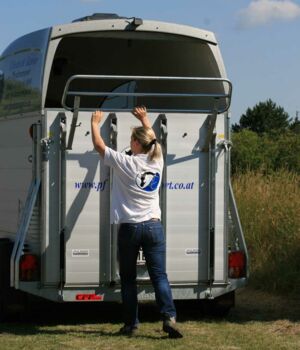 Böckmann Big Master - Fohlentransport