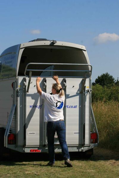 Böckmann Big Master - Fohlentransport